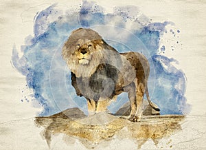 Watercolor image of male lion standing proudly on a cliff rock looking at the camera with blue sky in background.