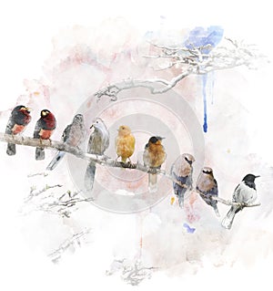 Watercolor Image Of Perching Birds