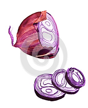 Watercolor image of purple onion half and sliced