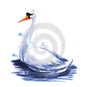 Watercolor image of single white swan on blue waves extracted on white background with blue paint splashes. Hand drawn