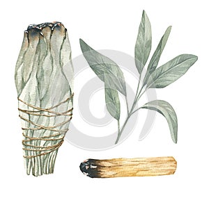 Watercolor incense set of palo santo and sage. Hand painted illustration set. Floral illustration for design, print