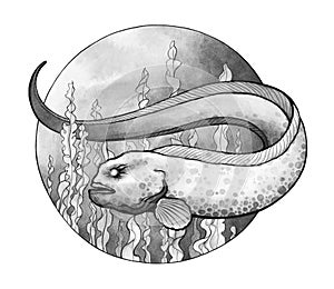 Watercolor ink Wolf eel. Underwater illustration in circle.