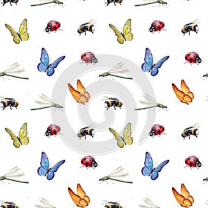 Watercolor insects illustrations