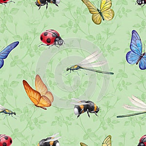 Watercolor insects illustrations