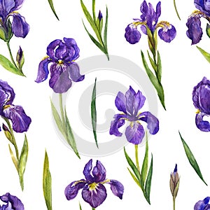 Watercolor irises seamless pattern