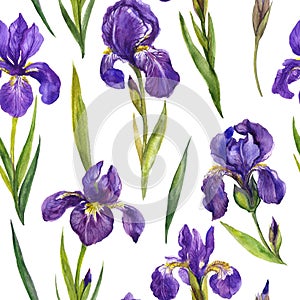 Watercolor irises seamless pattern