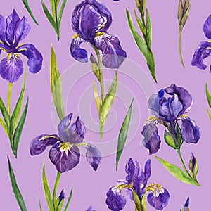 Watercolor irises seamless pattern