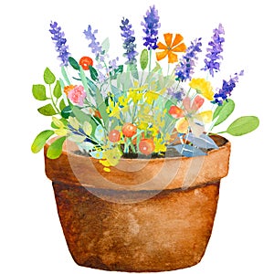 Watercolor jug with flowers