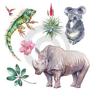 Watercolor jungle animals set