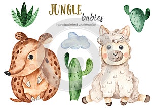 Watercolor jungle set with baby armadillo and llama