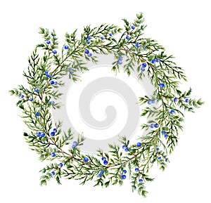 Watercolor juniper wreath. Hand painted evergreen branch with berries on white background. Botanical illustration for