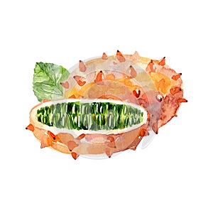 Watercolor kiwano.