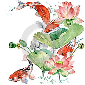 Watercolor koi carp and lotus flower. watercolor fish background illustration photo