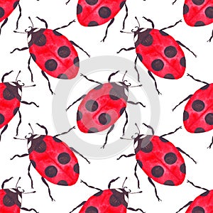 Watercolor ladybug seamless pattern on white background