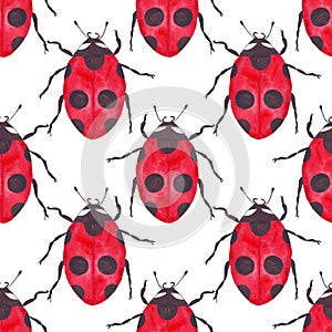 Watercolor ladybug seamless pattern on white background regular simple