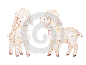 Watercolor Lamb Illustrations, Baby Sheep Clip Art, Farm Animals