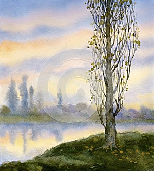 Watercolor landscape. Autumn poplar at quiet river