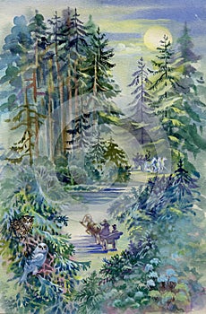 Watercolor Landscape Collection: Night Forest