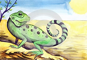 Watercolor landscape of desert with big lizard in foreground. Hand drawn green reptile with black spots and striped tail on rough