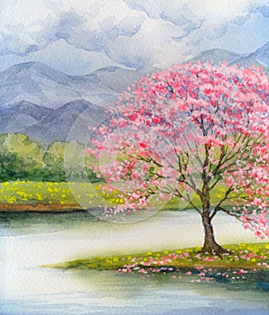 Acquerello. fioritura rosa un albero secondo 