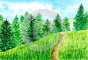 Watercolor landscape, hand drawn illustration. Spring or summer season. Blue skies, green grass and forest with fir