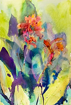 Watercolor landscape original painting colorful of canna lily flower