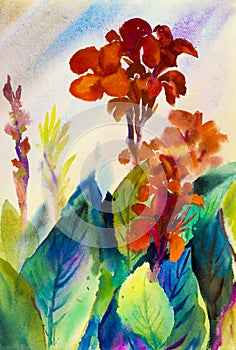 Watercolor landscape original painting colorful of canna lily flower