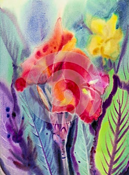 Watercolor landscape original painting colorful of canna lily flowers.