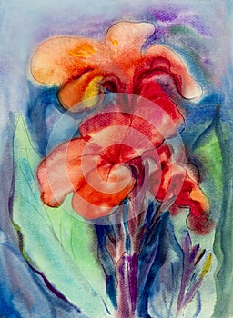 Watercolor landscape original painting colorful of canna lily flowers.