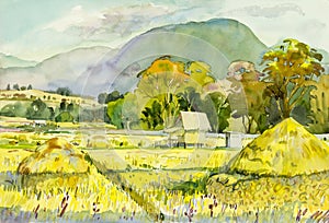 Watercolor landscape original painting colorful of cornfield