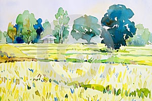 Watercolor landscape original painting colorful of cottage, rice field.