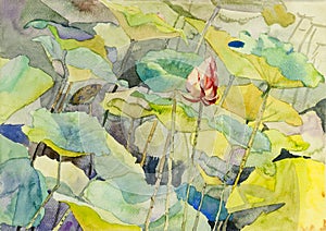 Watercolor landscape original painting colorful of lotus