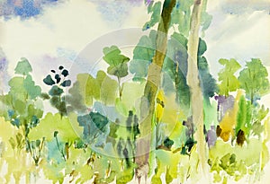 Watercolor landscape original painting colorful of tropical Forest