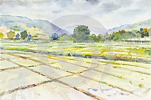 Watercolor landscape painting cornfield cornfield and mountain of emotion