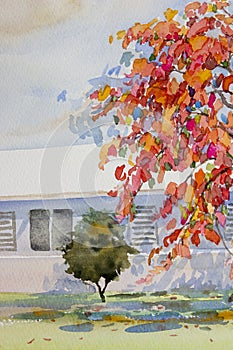 Watercolor landscape painting of natural beauty red flowers tree