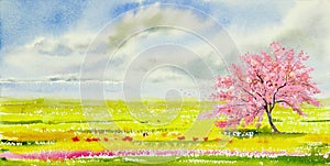 Watercolor landscape painting panorama colorful of cherry blossom tree