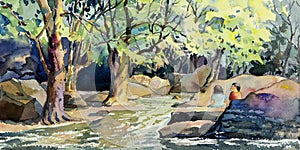 Watercolor landscape painting of waterfall, tree rock in forest