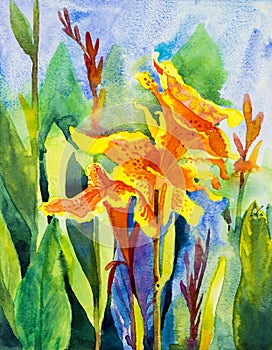 Watercolor landscape paintings original colorful of Canna Lily