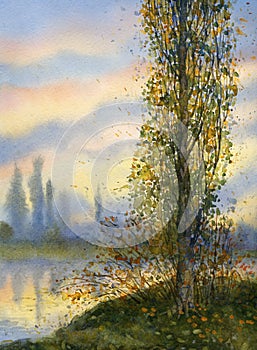 Watercolor landscape. Poplar at sunset over lake photo