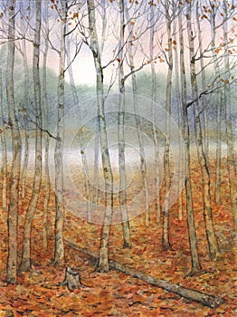 Akvarel. tichý v jeseň les 