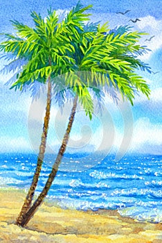 Watercolor landscape. Tall palms on a sandy beach