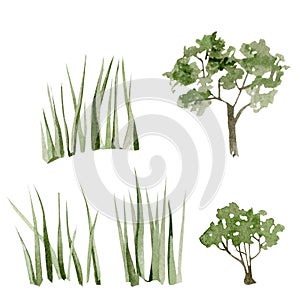 Watercolor landscape trees and grass set in the forest isolated on white background. Hand drawn illustration wildlife for greeting
