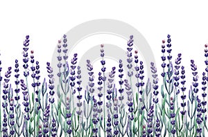 Watercolor lavender design