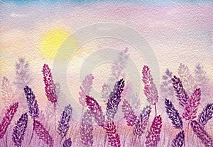 Watercolor lavender field in purple and pink hues, beautiful nature abstract landscape design