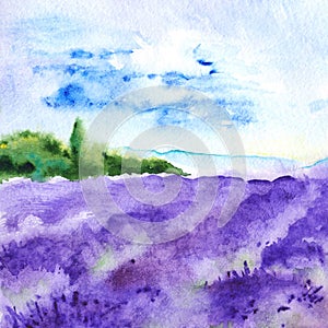 Watercolor lavender fields nature France Provence landscape