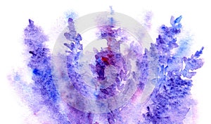 Aquarell Lavendel blume Blume abstrakt Texturen 