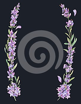 Watercolor lavender flowers natural wreath in vintage style isolated on black background. Purple botanical card