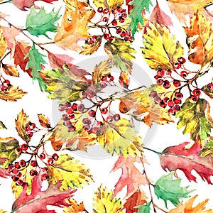 Watercolor leaves with berry on white background. Seamless pattern.