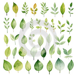 watercolor leaves in different sizes, in the style of animated mosaics, white background, Generative AI