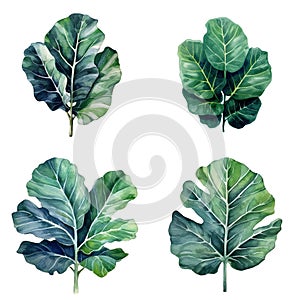 Watercolor leaves set, Tropical collection of jungle green plants. Generative AI